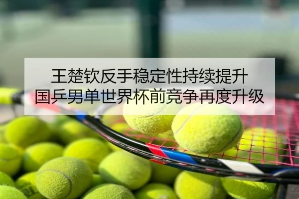 王楚钦反手稳定性持续提升 国乒男单世界杯前竞争再度升级